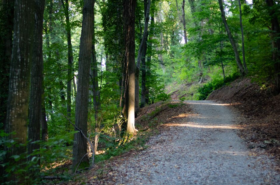 A Gentler Way to Approach Small Lifestyle Changes That Matter, for Real Life