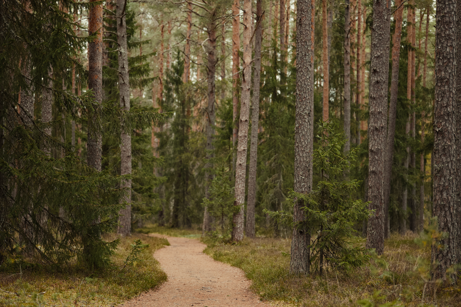 A Step-by-Step Look at The Connection Between Body And Mind, on a Normal Week