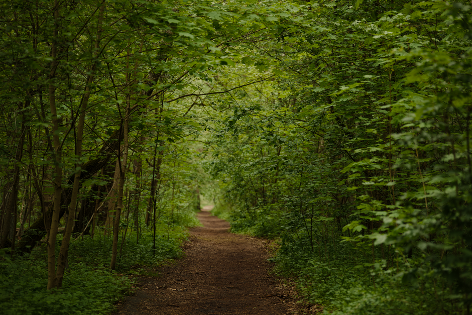 Building a Daily Routine Around Mental Health Is Health, Minus the Overwhelm