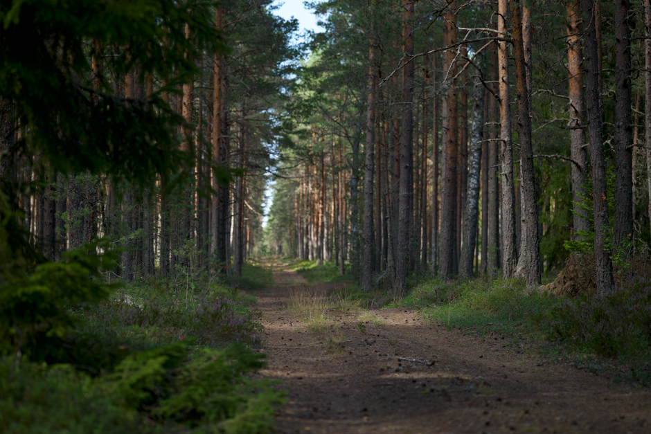 Coming Back to Stress: Signal, Response And Recovery, in Plain Language