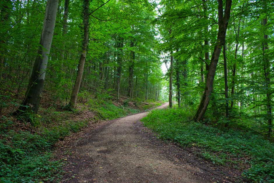 Finding Your Footing With Starting Again After A Setback, Without the Hype