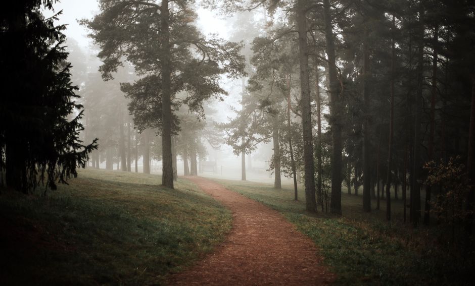 Finding Your Footing With The Connection Between Body And Mind, Step by Step