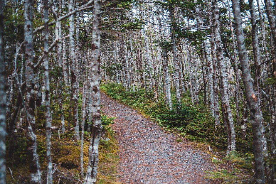 Finding Your Footing With The Social Side Of Well-Being, Made Simple