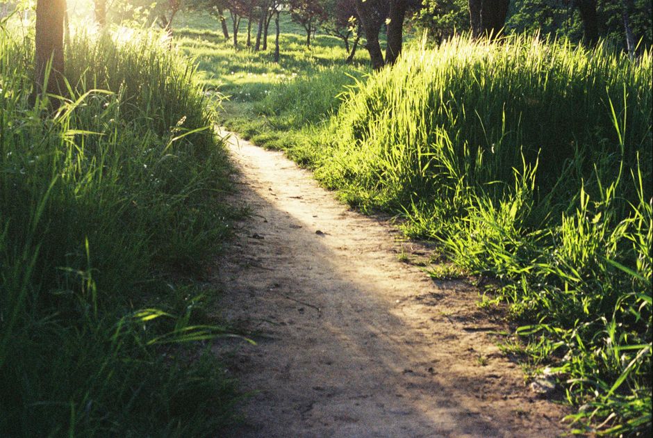 Getting Started With Simplicity As A Health Strategy, Explained Simply