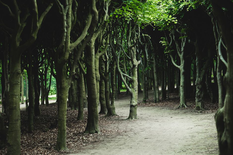 Holding On to Understanding Health And Wellness Over Time, Without the Hype