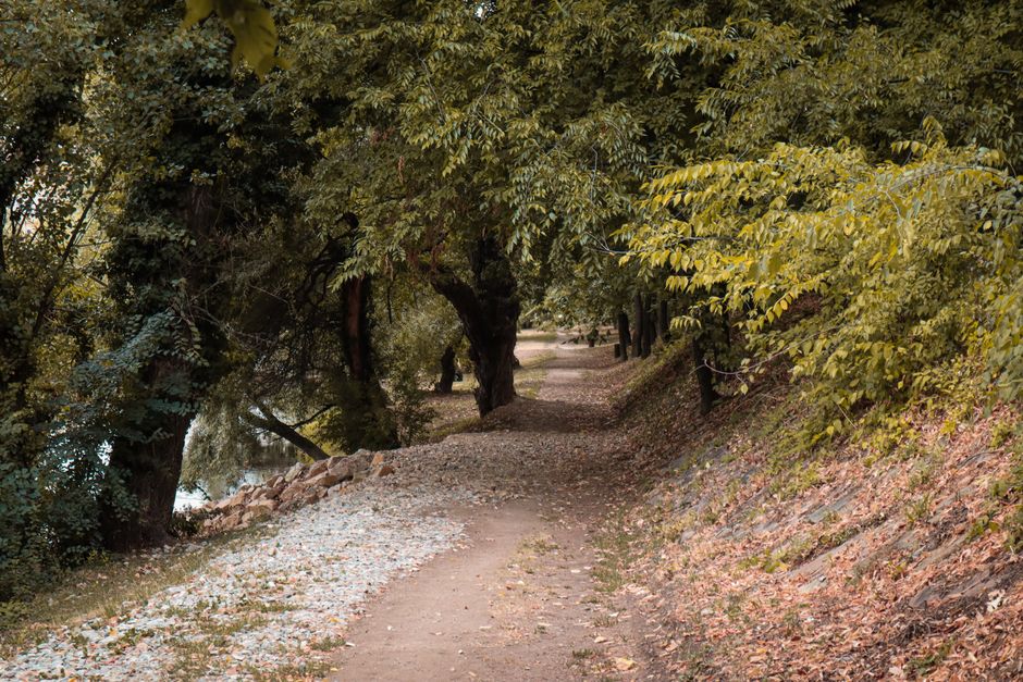 How A Balanced Approach To Wellness Fits a Real Routine, One Step at a Time