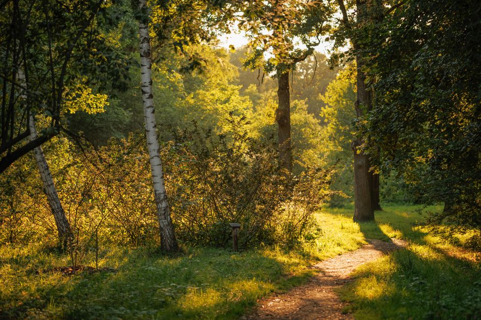 How Loneliness As A Health Factor Fits a Real Routine, Explained Simply