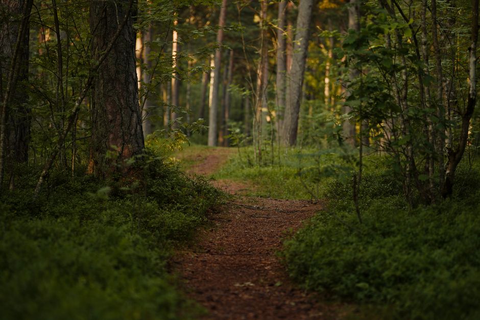 How to Stay Consistent With Health And Uncertainty, for Real Life