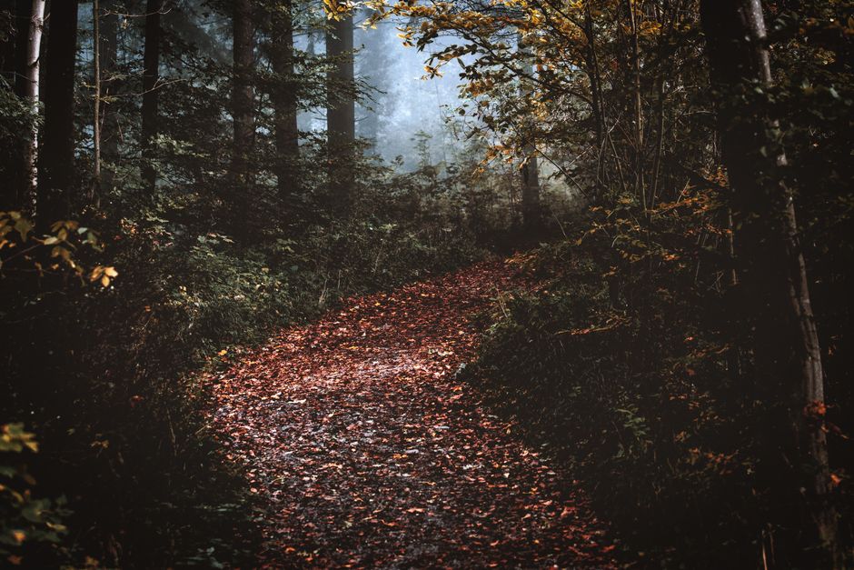 Making Sense of Health As A Daily Practice, Without the Hype