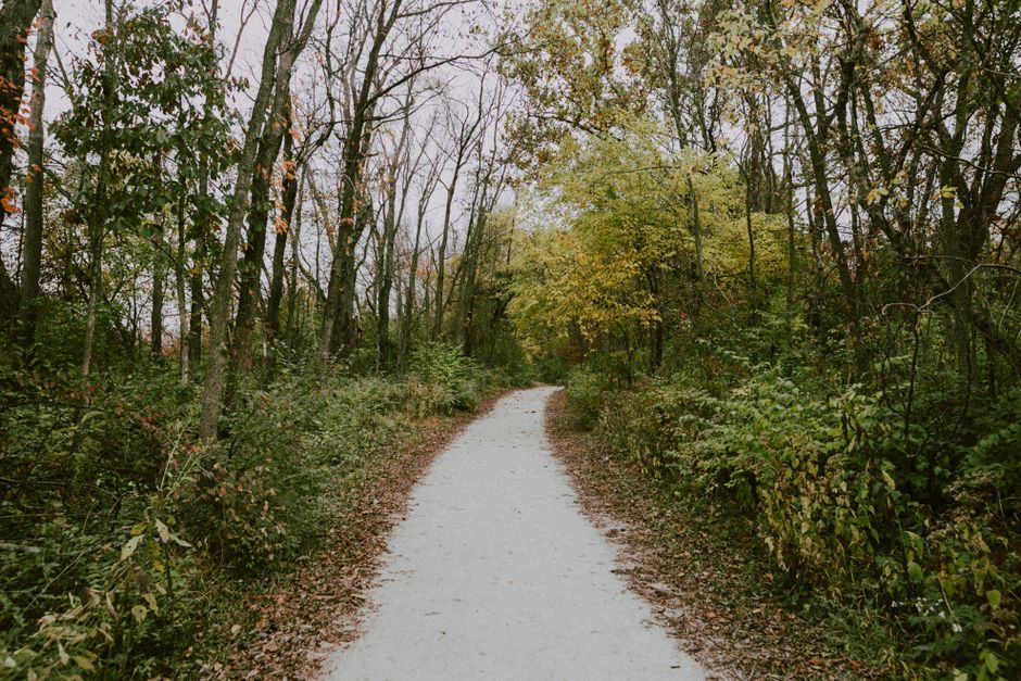 Moving More Without Going To A Gym for Busy People, the Honest Way