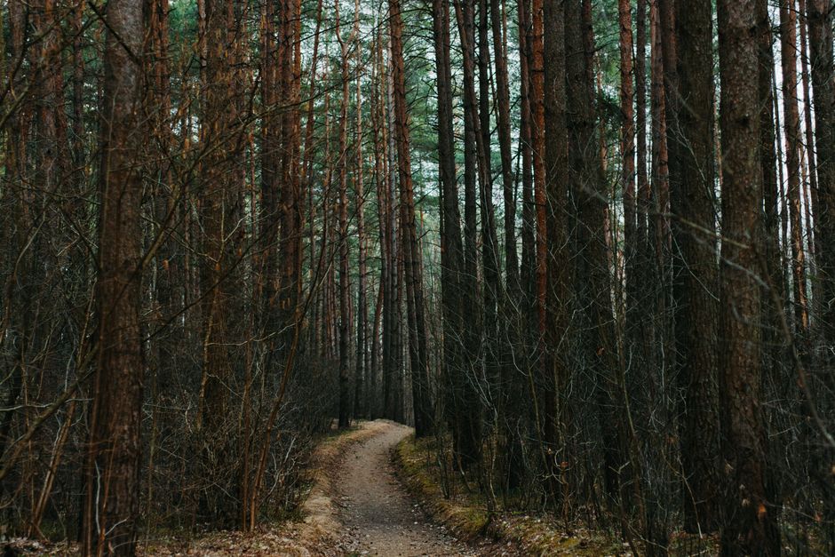 One Week of Focusing on Wellness At Different Life Stages, in Plain Language