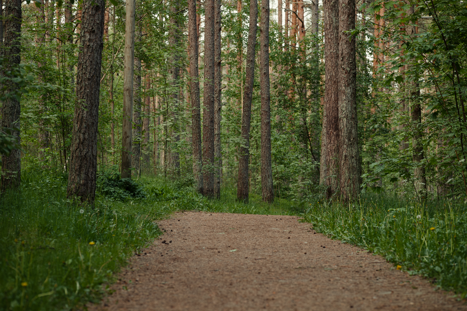 Rethinking Moving More Without Going To A Gym