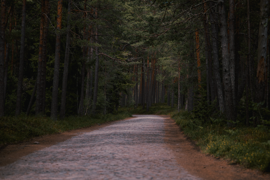 Small Wins With The Connection Between Body And Mind, the Honest Way