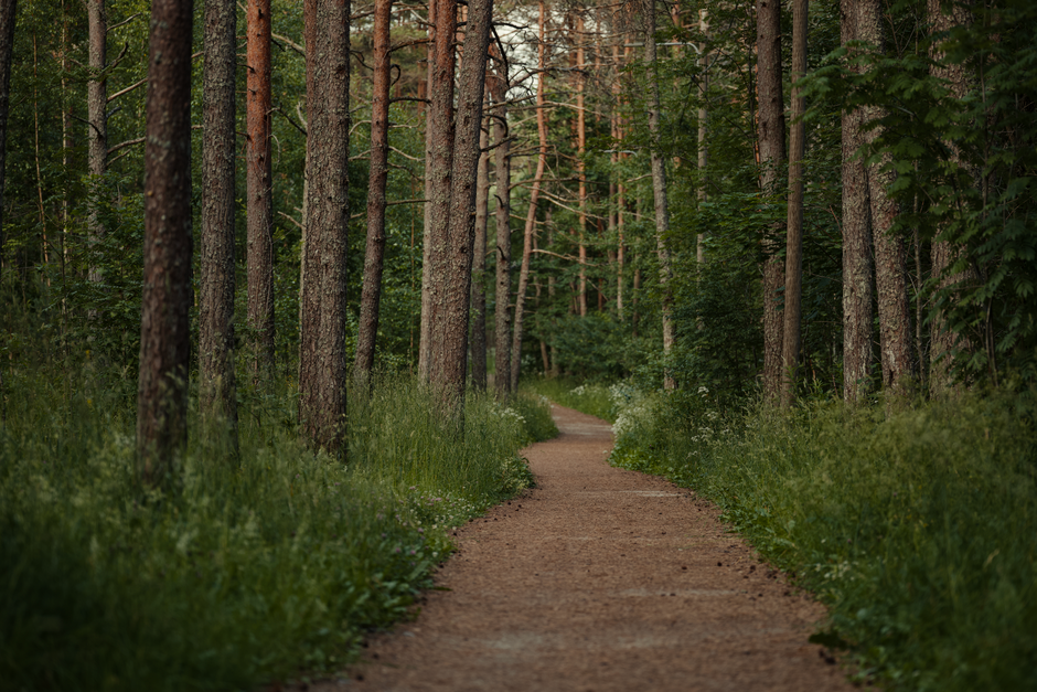 Stress: Signal, Response And Recovery in Your 40s, 50s and Beyond, One Step at a Time