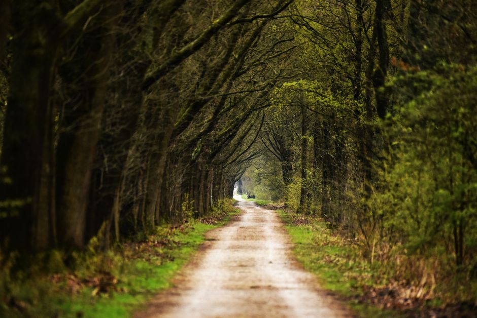 The Pleasure Principle In Healthy Living When You're Short on Time, Step by Step