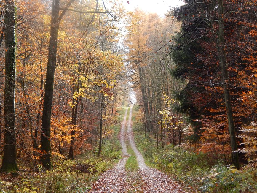 The Quiet Value of The Social Side Of Well-Being