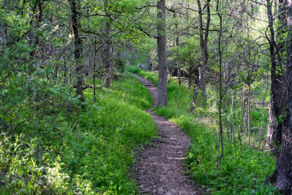 Understanding Wellness At Different Life Stages in Plain Terms, on a Normal Week