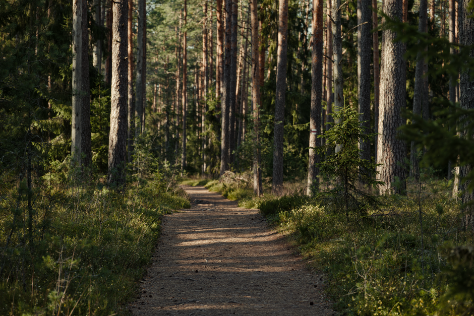 Where People Go Wrong With Wellness Without Perfectionism, Starting Today
